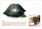 light_bag_2