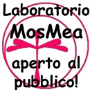calendario - eventi